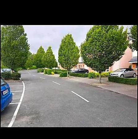 Wolseley Park Bed and Breakfast Tullow